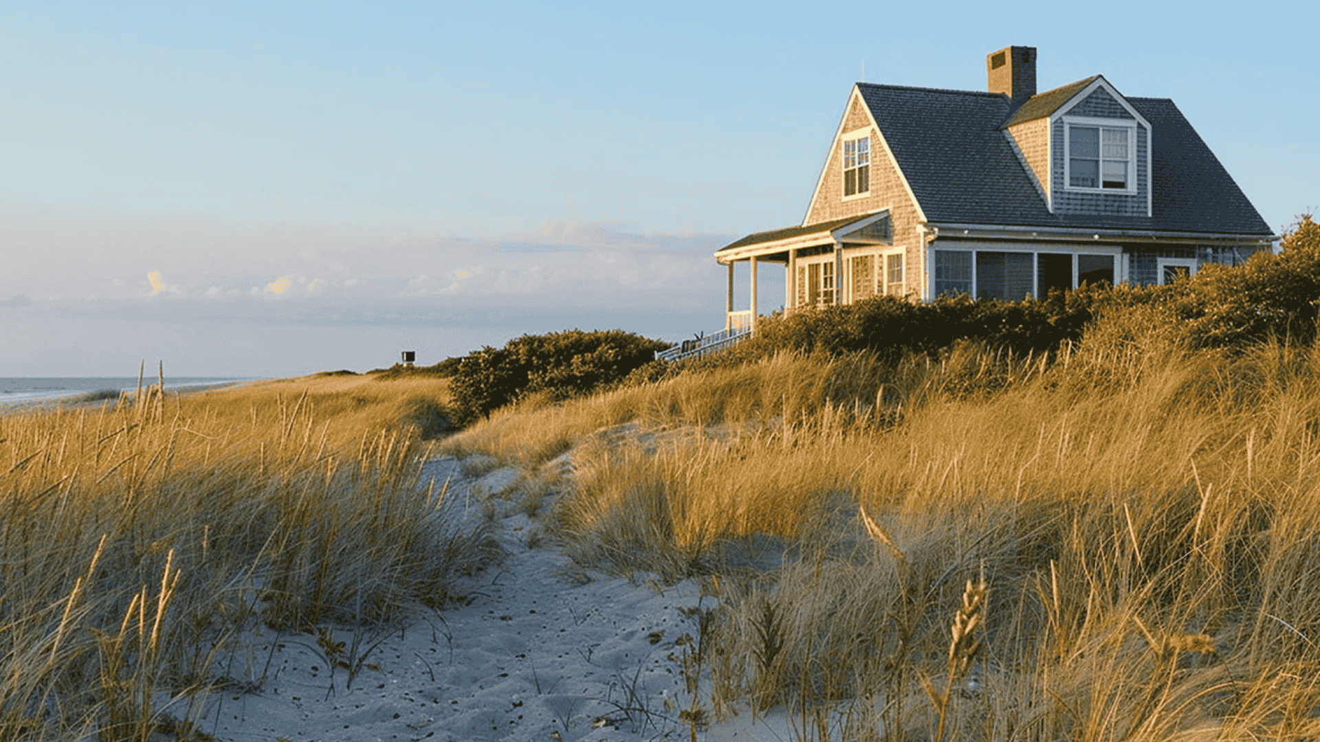 Why Beach Houses Have Bigger Pest Problems (And What to Do About It)