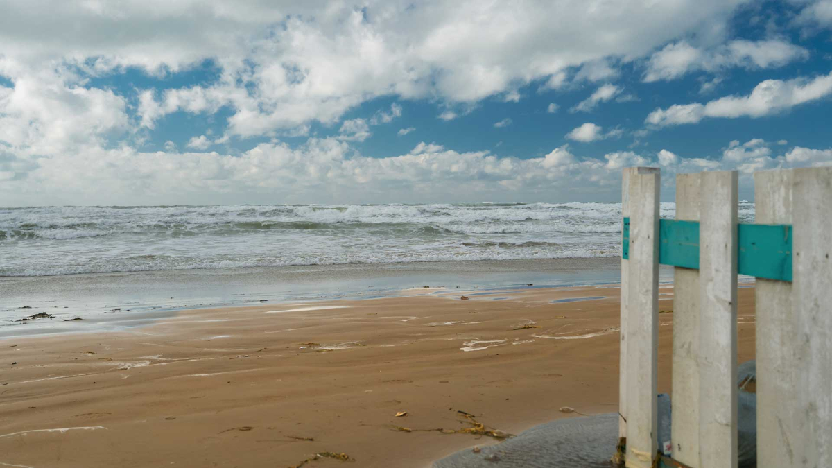 Pest Control in St. James, NC