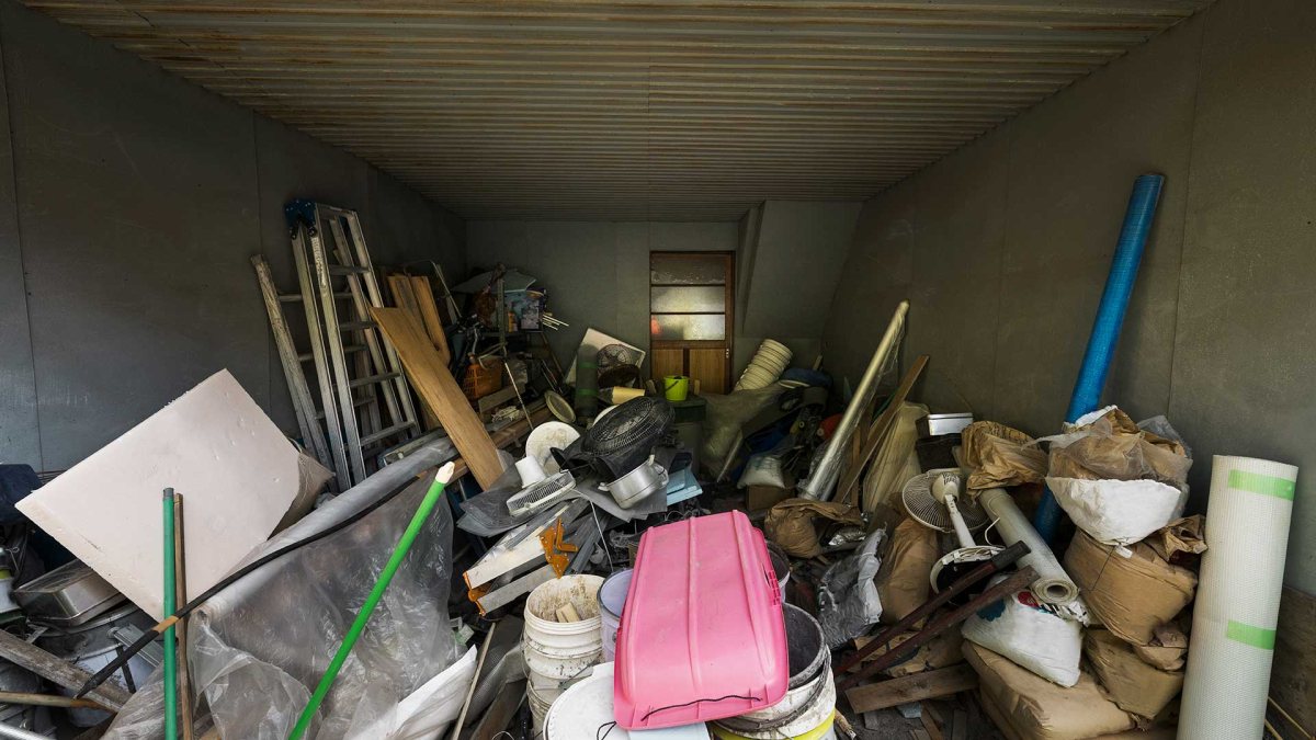 The Surprising Connection Between Junk Removal and Pest Prevention