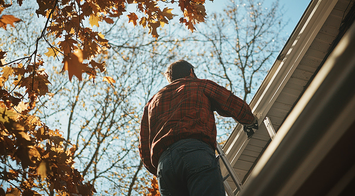 Fall Pest Prevention Checklist for Brunswick County Homeowners